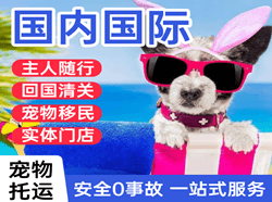 张掖空运国际宠物托运 【国